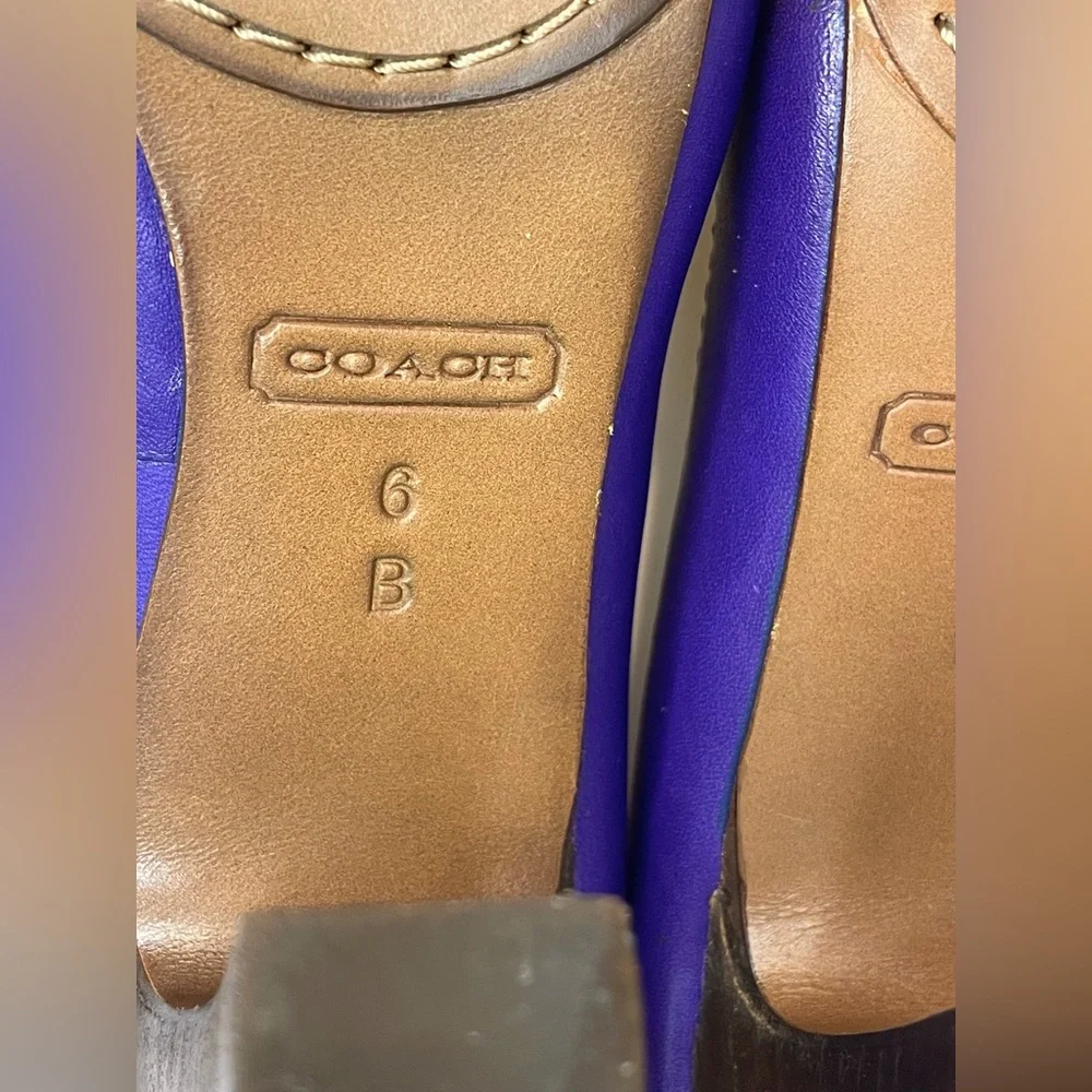 Coach Desaree Purple Bock Heel Pumps Gold Hook‎ Buckle Accent Heels Size 6 B